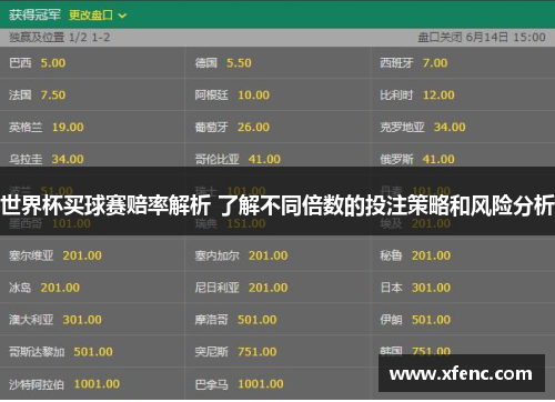 世界杯买球赛赔率解析 了解不同倍数的投注策略和风险分析