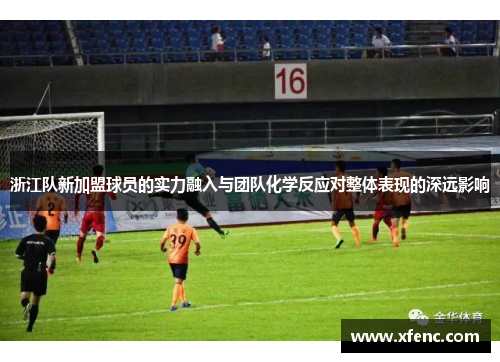 浙江队新加盟球员的实力融入与团队化学反应对整体表现的深远影响