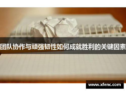 团队协作与顽强韧性如何成就胜利的关键因素