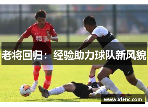 老将回归：经验助力球队新风貌