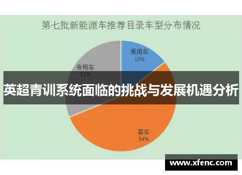 英超青训系统面临的挑战与发展机遇分析